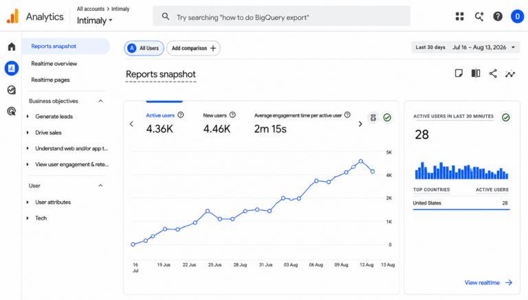 Google Analytics intimaly.com